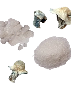 where can you get dmt​