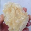 Buy 5-MeO-DMT Online | Order 5-methoxy DMT Online | IzChem