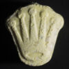 Rolex MDMA For Sale